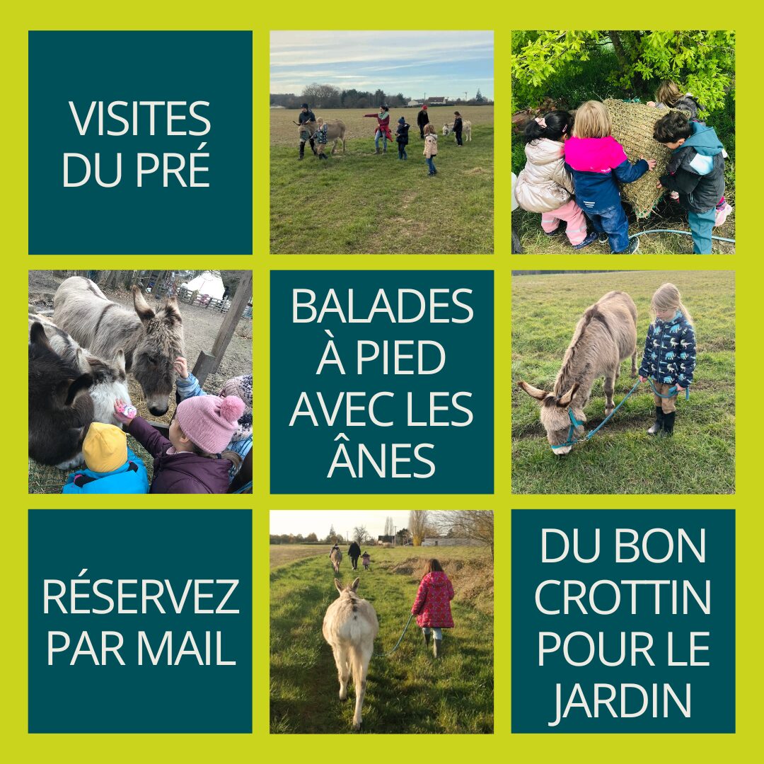 Photo Visites&Balades Crottin